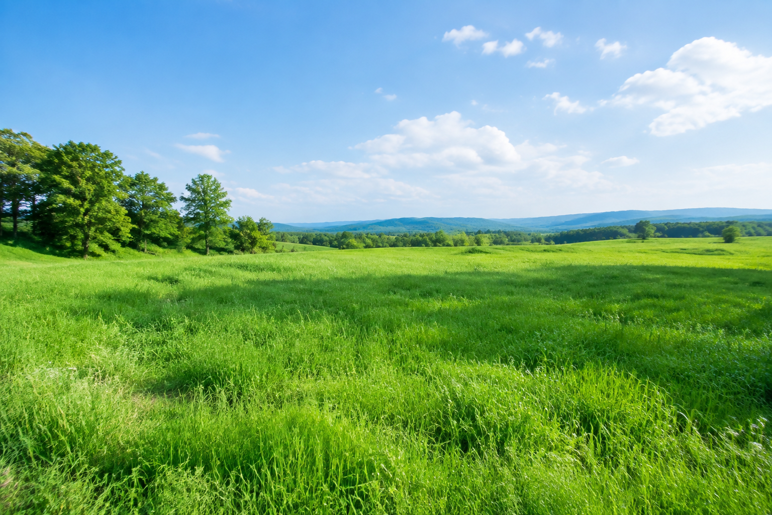 ECO